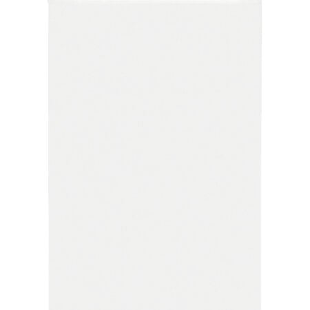 Beko FS166020 Vrieskast Vrijstaand 65 l E Wit DHZ1803