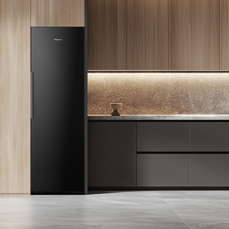 Hisense FT5K310GSFC diepvriezer Vrieskast Vrijstaand 312 l C - Afbeelding 3