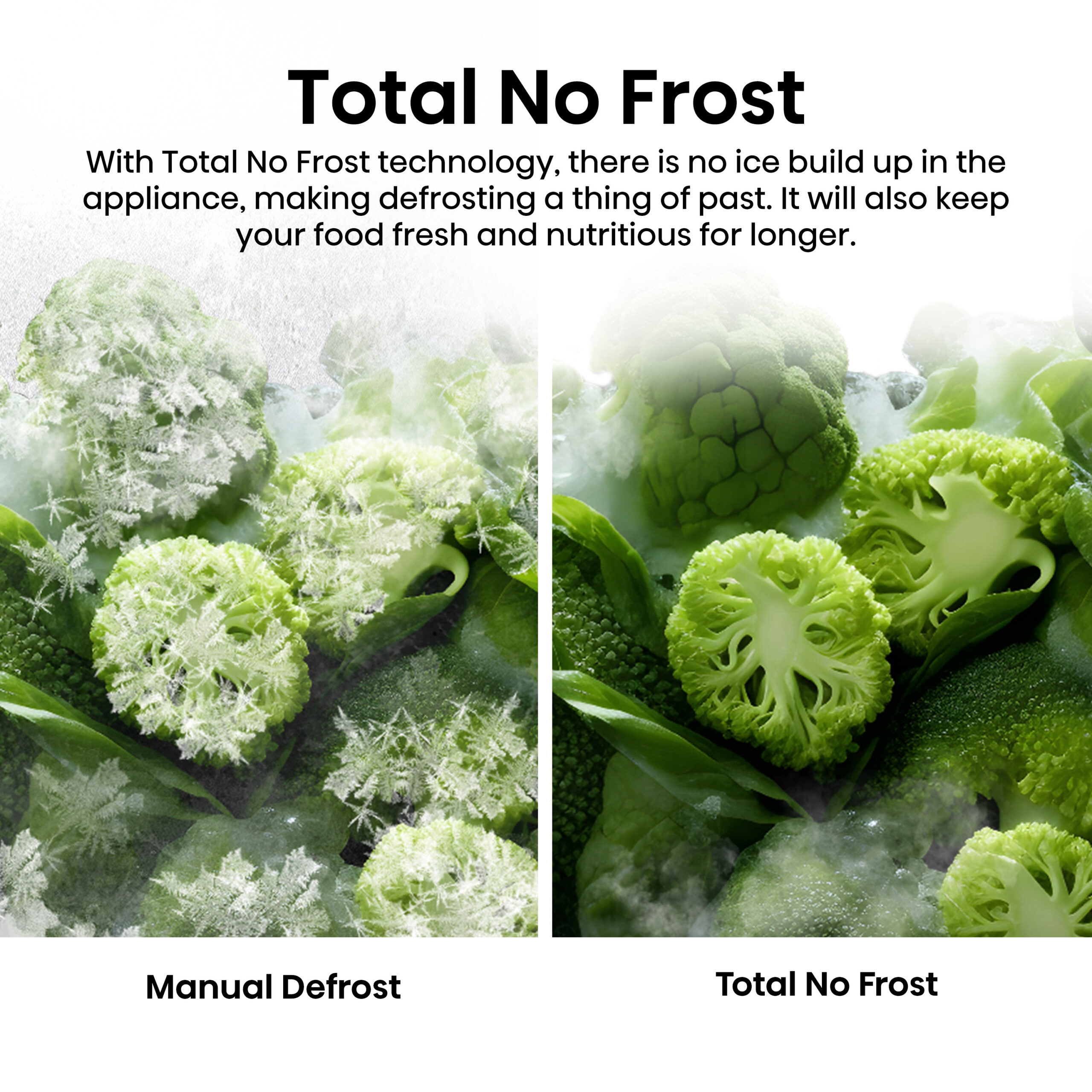 Hisense RL5K370GSFC koelkast Vrijstaand 372 l C EWO51220251 - Afbeelding 12