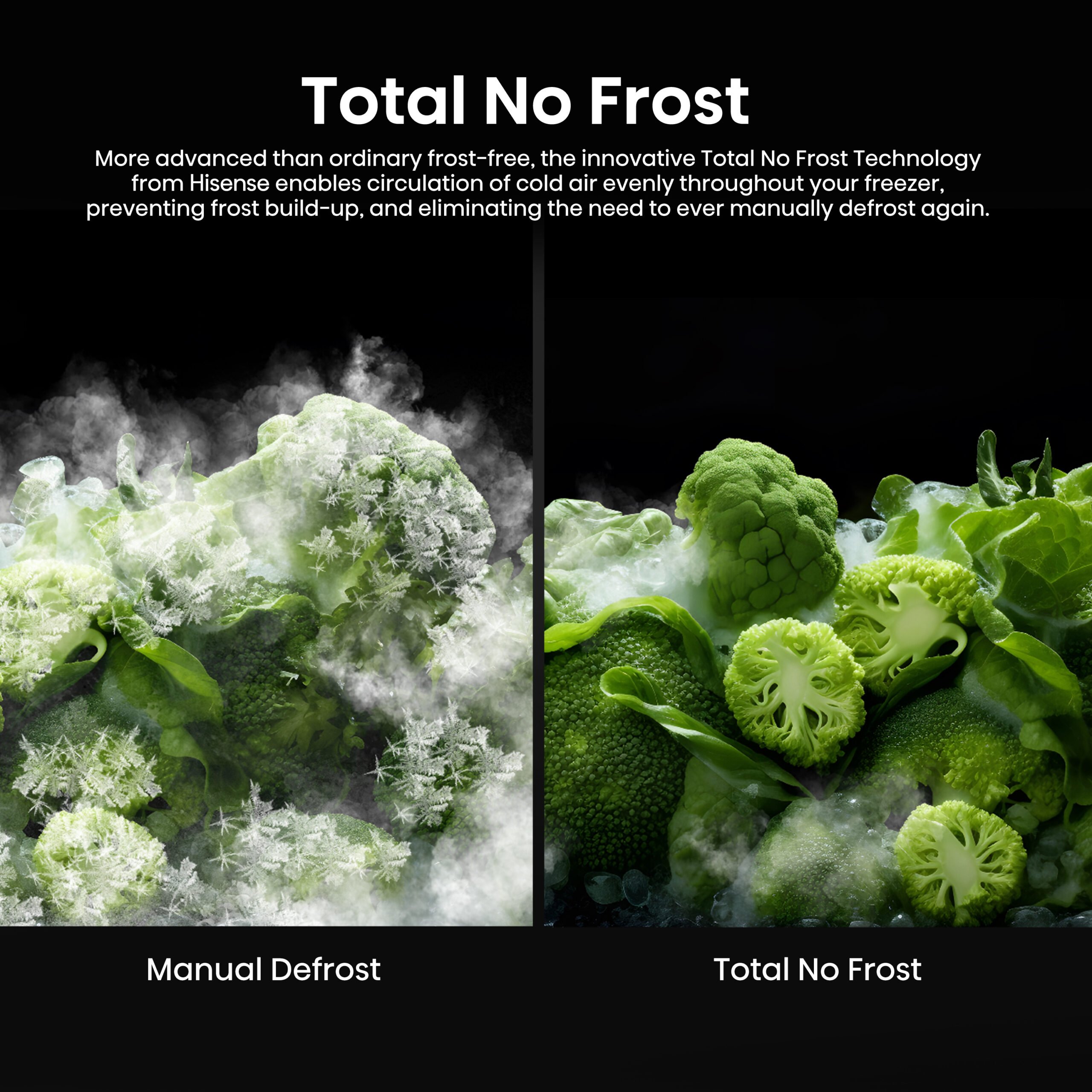 Hisense RQ768N4GVE amerikaanse koelkast Vrijstaand 591 l E Zilver DHZ2938 - Afbeelding 18